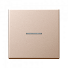 ВКЛючатель 1но-клавишный шампань С/П 1,1mA