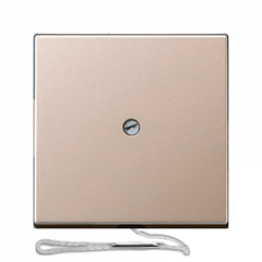 ВКЛючатель со ШНУРКОМ шампань