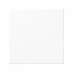 ЗАГЛУШКА белая