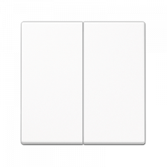 СВЕТорегулятор 2-х клавишный Универсальный белый любая нагрузка 50-260 Вт LED не регулирует