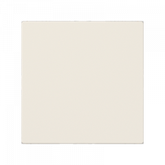 ЗАГЛУШКА слоновая кость