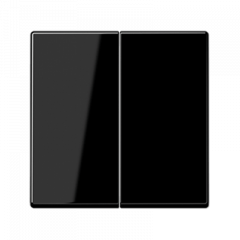 СВЕТорегулятор 2-х клавишный Универсальный черный любая нагрузка 50-260 Вт LED не регулирует