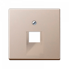 INTERNET-розетка 1ая шампань экранированная