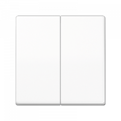 СВЕТорегулятор 2-х клавишный Универсальный белый любая нагрузка 50-260 Вт LED не регулирует