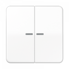 ВКЛючатель 2х-клавишный белый С/П 0,8mA