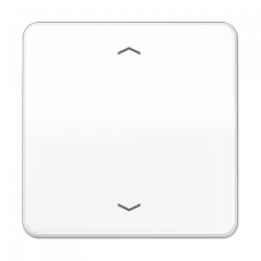 ЖАЛЮЗИ-управление кнопочный белый (упраление происходит при удерживании клавиши)