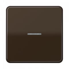 ВКЛючатель 1но-клавишный коричневый С/П 1,1mA (IP44)