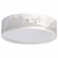 Накладной потолочный светильник MW-Light Ривз 674016001