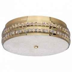 Накладной потолочный светильник MW-Light Ривз 674013601