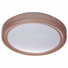 Накладной потолочный светильник MW-Light Ривз 674014001