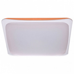 Накладной потолочный светильник MW-Light Ривз 674014601