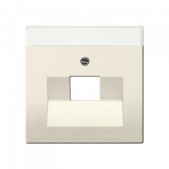 Internet-TF розетка 1ая слоновая кость