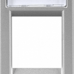 Internet-розетка 1-модульная серебряный