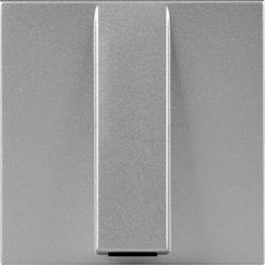 Кабельный вывод серебряный (2-модульный)