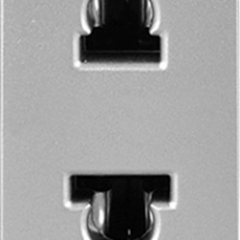 Розетка без заземления серебряный (1-модульная)