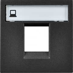Internet-розетка 2-модульная антрацит