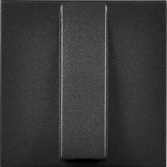 Кабельный вывод антрацит (2-модульный)