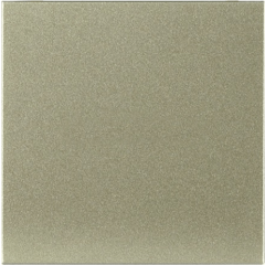 Заглушка шампань (2-модульная)