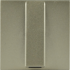 Кабельный вывод шампань (2-модульный)