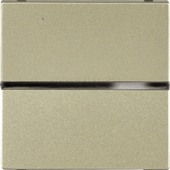 Переключатель с 2х мест 1-клавишный шампань