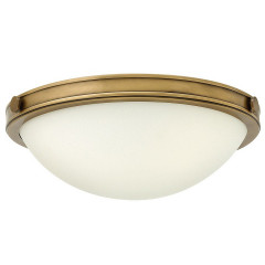Накладной потолочный светильник Hinkley Collier HK/COLLIER/F/S