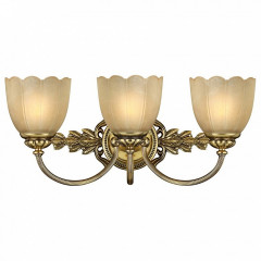 Настенный светильник на штанге Hinkley Isabella HK/ISABELA3 BATH