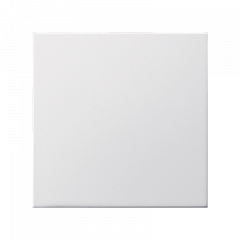 ЗАГЛУШКА матовый белый