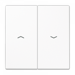 ЖАЛЮЗИ-управление кнопочный белый (упраление происходит при удерживании клавиши)