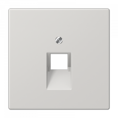 TF-розетка 1-ая светло-серая