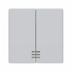 ВКЛючатель 2-клавишный С/П алюминиевый металлик