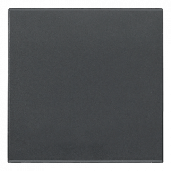 Заглушка Серый 2-модульная