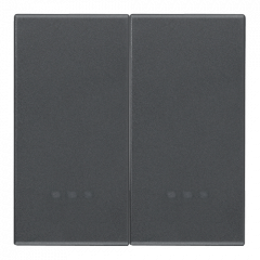 Переключатель с 2х мест 2-клавишный Серый