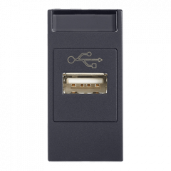 Розетка-USB Серый 1-модульная