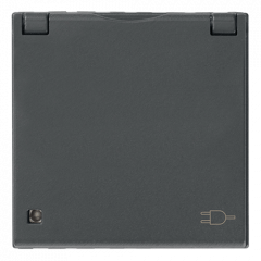 Розетка с заземлением и откидной крышкой Серый 2-модульная