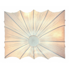 Накладной настенно-потолочный светильник ST-Luce Tela SL356.551.03