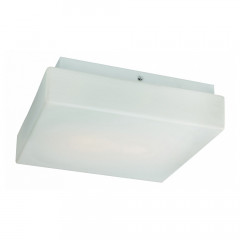 Накладной потолочный светильник ST-Luce Bango SL503.502.02