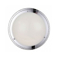 Накладной потолочный светильник ST-Luce Universale SL494.552.01