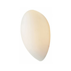 Накладной настенно-потолочный светильник ST-Luce Bango SL507.551.01