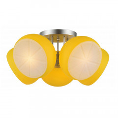 Потолочная люстра ST-Luce Arancio SL482.902.05