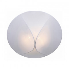 Накладной потолочный светильник ST-Luce Tonico SL360.552.02