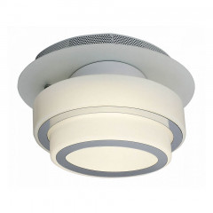 Накладной потолочный светильник ST-Luce Ovale SL546.501.01