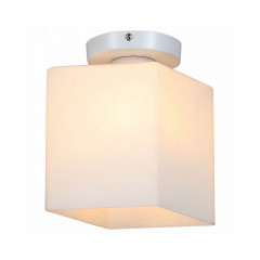 Накладной потолочный светильник ST-Luce Aspetto SL548.501.01