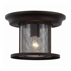 Уличный потолочный накладной светильник ST-Luce Lastero SL080.402.01