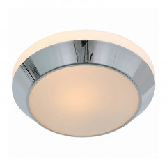 Накладной настенно-потолочный светильник ST-Luce Bagno SL469.502.01