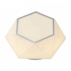 Накладной потолочный светильник ST-Luce 558 SL558.502.01