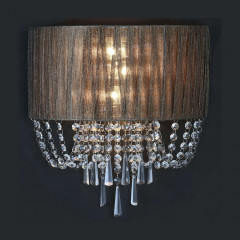 Накладной настенный светильник ST-Luce Representa SL892.701.03