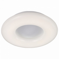 Накладной потолочный светильник ST-Luce Albo SL902.502.01D