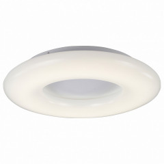 Накладной потолочный светильник ST-Luce Albo SL902.552.01D