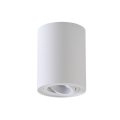 Светильник потолочный Crystal Lux CLT 410C1 WH