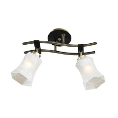 Светильник на штанге Citilux Мерида CL142123